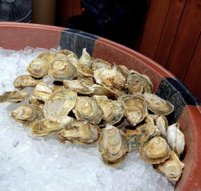 Oysters in a red ice bucket