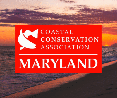 Coastal Conservation Association Maryland logo in red, overlaid on a scenic background of a sunset reflecting across a calm beach and shoreline.