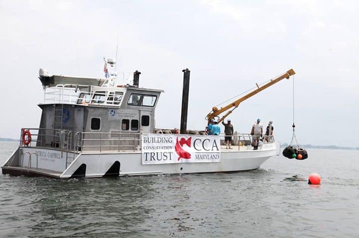 A Coastal Conservation Association boat on the water with a crew deploying concrete oyster reef balls into the bay to restore marine habitats.