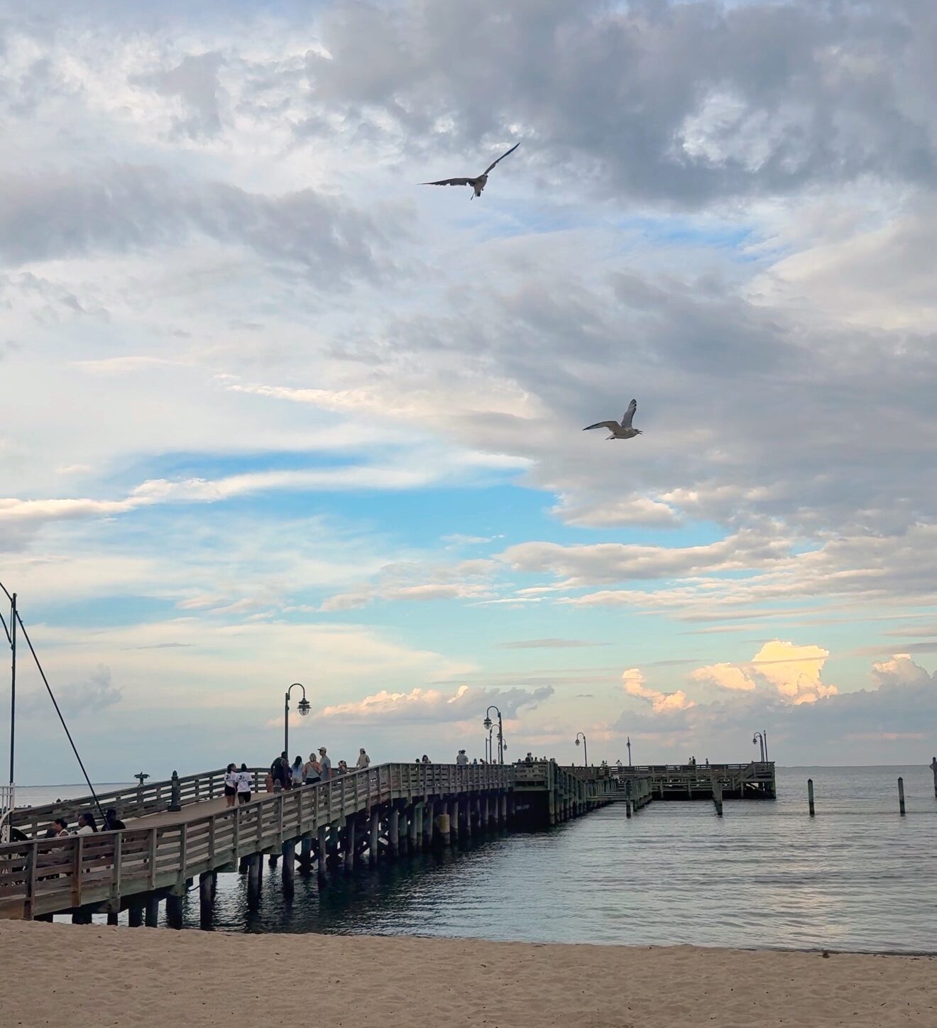 north beach maryland pier ospreys sunset Scenic view of the wooden boardwalk and fishing pier at North Beach in Calvert County, Maryland, with a sandy beach and a seagull flying overhead against a cloudy sky.