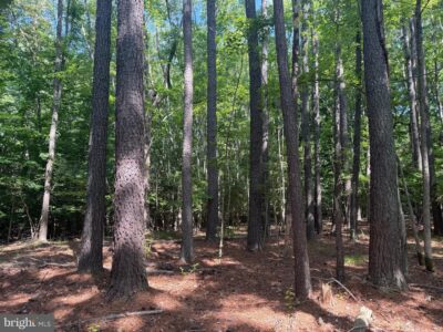13435 Dowell Rd in Solomons, MD